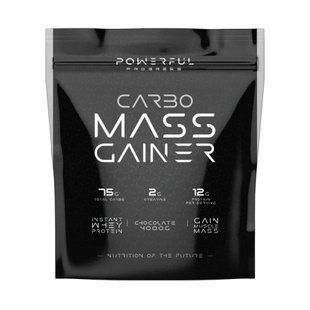 Carbo Mass Gainer - 4000g Strawberry (Пошкоджена етикетка) 2024-11-0158 фото